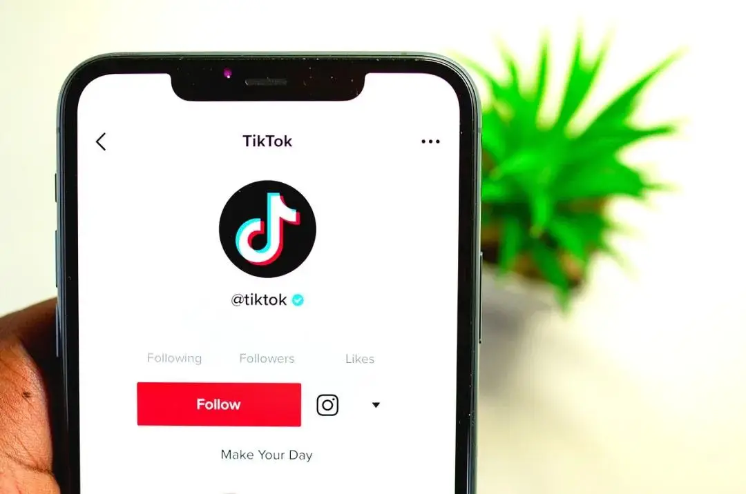新加坡tiktok加速_ TikTok 东南亚电商布局-新闻-TIKTOK直播专线|TikTok直播线路,TikTok专线网络,TikTok专线,TikTok线路,Tiktok盒子,TikTok盒子,TikTok直播网络