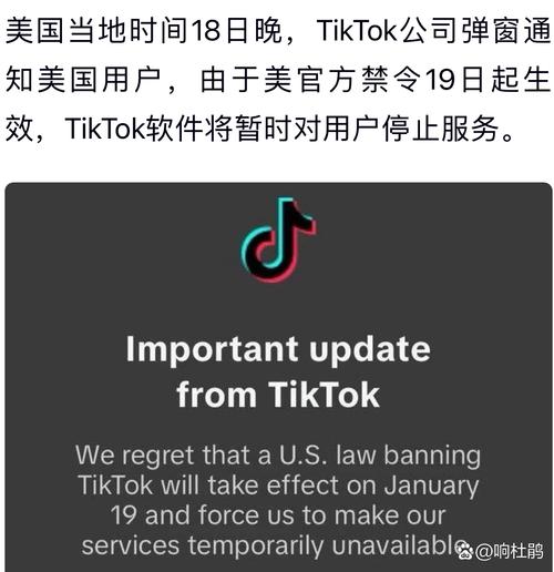 埼玉县TikTok账号停止更新_日本tiktok节点_TikTok日本政府停用