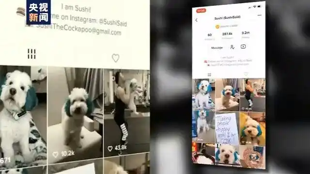 特朗普封禁TikTok美国运营_tiktok海外节点_TikTok收购谈判僵局