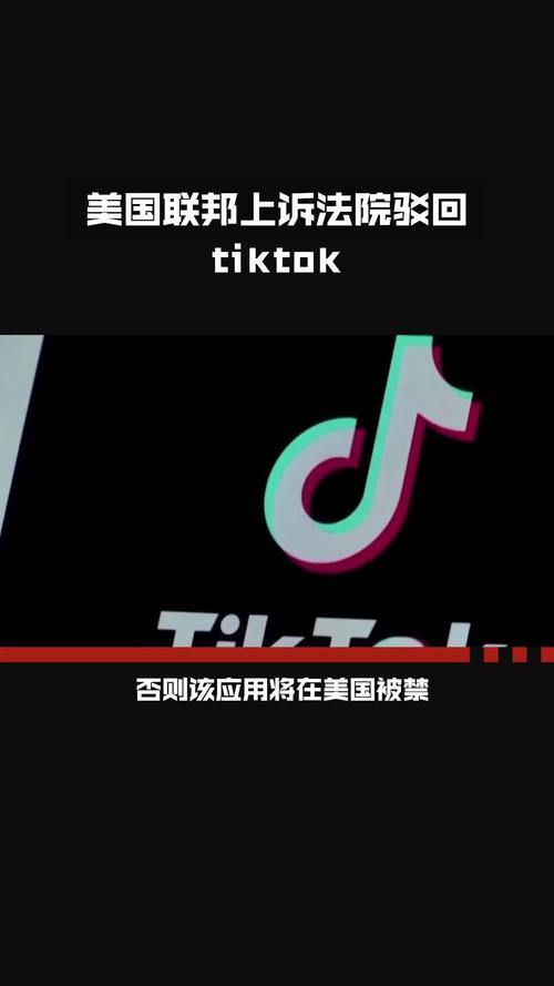 tiktok美国节点_ 美国TikTok禁令上诉 _TikTok不卖就禁法案 SEO 