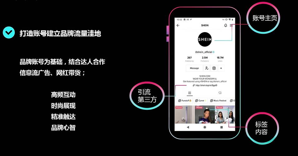 TikTok Shop电商模式 _ TikTok Shop店铺类型对比 _tiktok海外线路