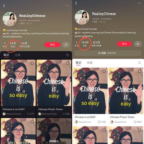 TikTok难民涌入带来的诈骗风险_TikTok难民杀猪盘骗局_英国tiktok直播