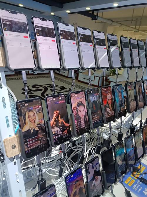 东南亚年末大促 TikTok 运营策略_日本tiktok直播节点_TikTok Mega Sales 东南亚电商营销