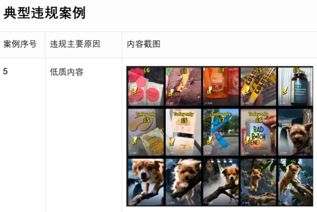 账号高危行为_TikTok封店封号新规_tiktok沙特专线