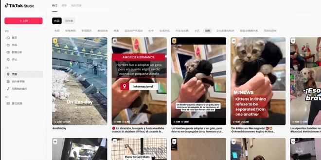 日本tiktok直播专线_TikTok Studio功能-新闻-TIKTOK直播专线|TikTok直播线路,TikTok专线网络,TikTok专线,TikTok线路,Tiktok盒子,TikTok盒子,TikTok直播网络