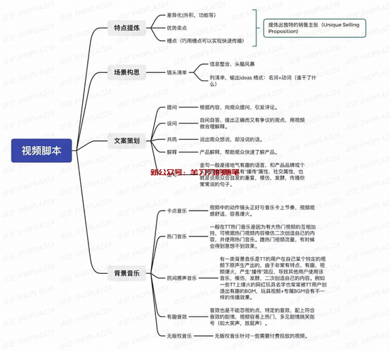 tiktok海外直播专线_TikTok短视频批量生产流程_Newme直播带货转化率提升策略