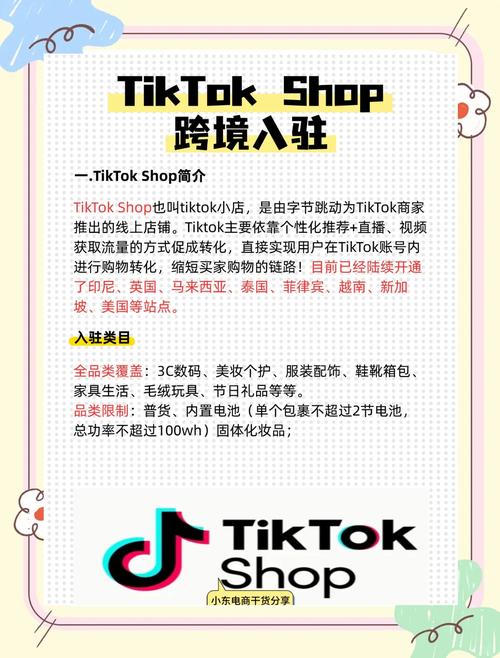 小红书海外用户增长_TikTok禁令小红书受益_tiktok海外直播ip