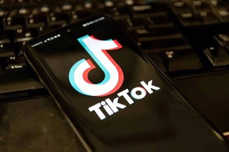 德国tiktok直播原生ip_德国TikTok直播变现模式_德国TikTok公会策略