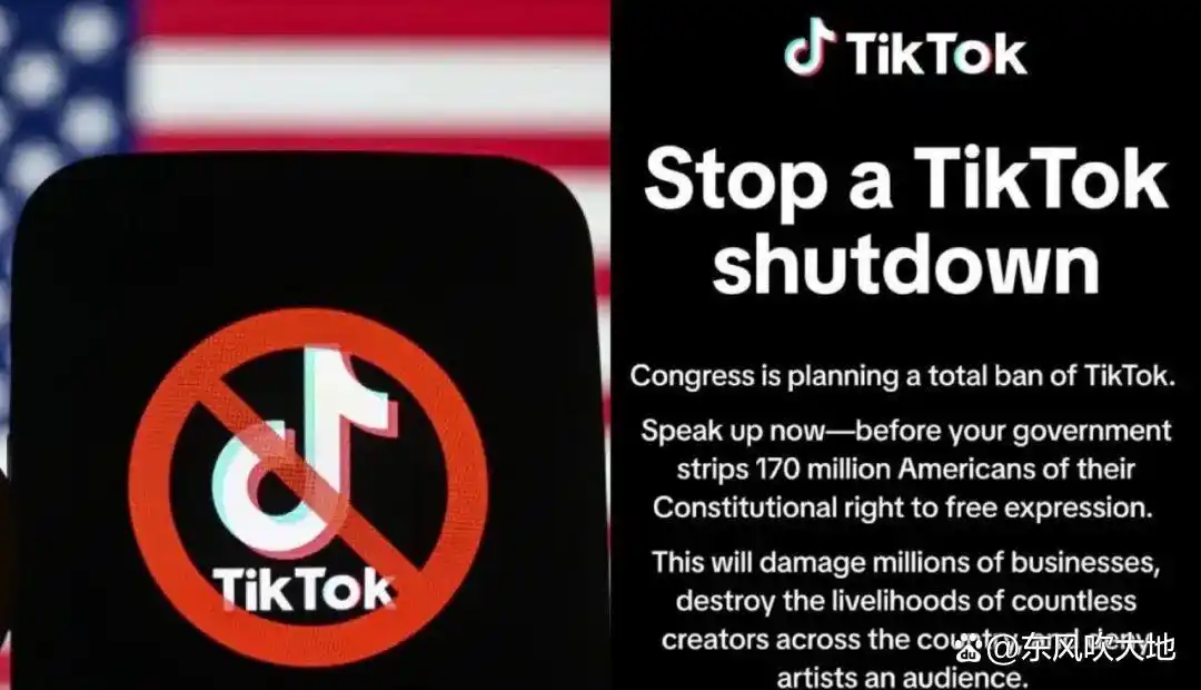 法国禁令TikTokSkinnyTok标签青少年健康内容监管_法国tiktok节点加速