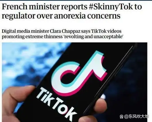 法国禁令TikTokSkinnyTok标签青少年健康内容监管_法国tiktok节点加速