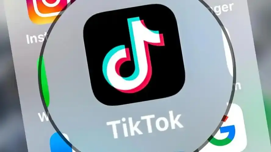 法国娱乐社交革命_法国tiktok节点加速_法国TikTok公会