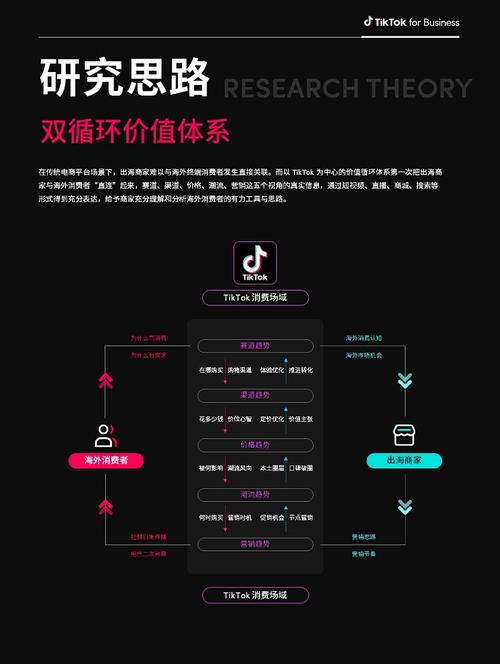 TikTok品牌出海增长策略_tiktok海外专线_TikTok电商营销全链路解决方案
