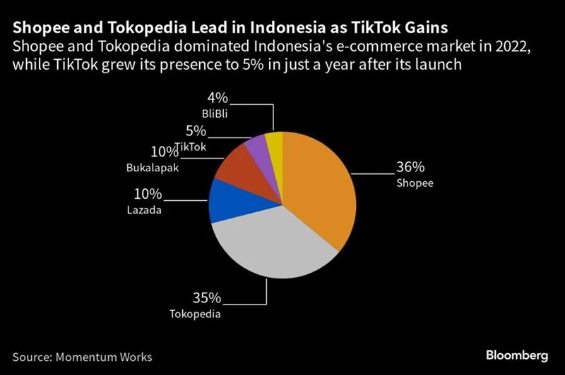 tiktok印尼专线_TikTok2023年销售额突破100亿美元_TikTok印尼电子商务投资15亿美元