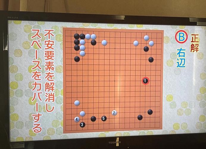 日本直播_日本电视直播围棋_NHK电视台围棋节目-新闻-TIKTOK直播专线|TikTok直播线路,TikTok专线网络,TikTok专线,TikTok线路,Tiktok盒子,TikTok盒子,TikTok直播网络