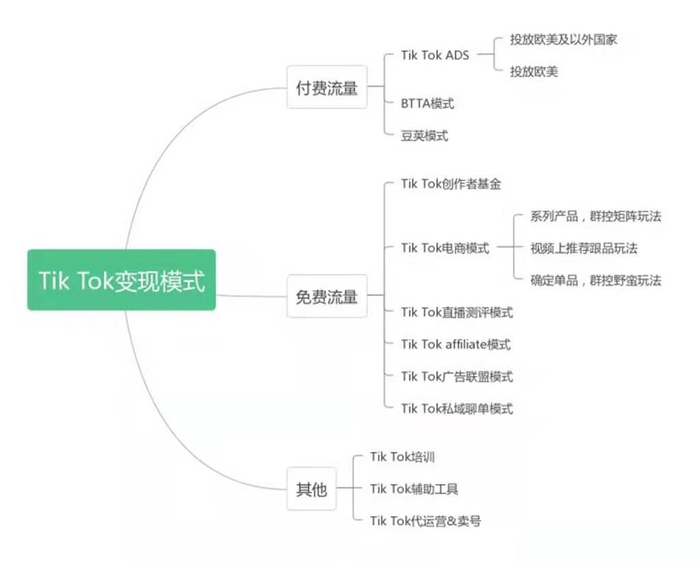 Tik Tok电商变现模式_Tik Tok免费流量变现_海外tiktok直播线路