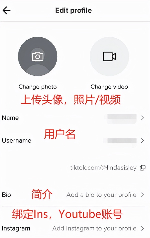 海外版抖音Tik Tok的下载与注册
